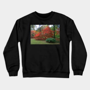 Autumn Colours 2014 Crewneck Sweatshirt